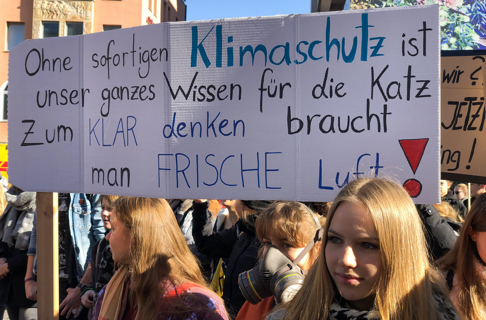 Schülerdemo für Klimaschutz 10