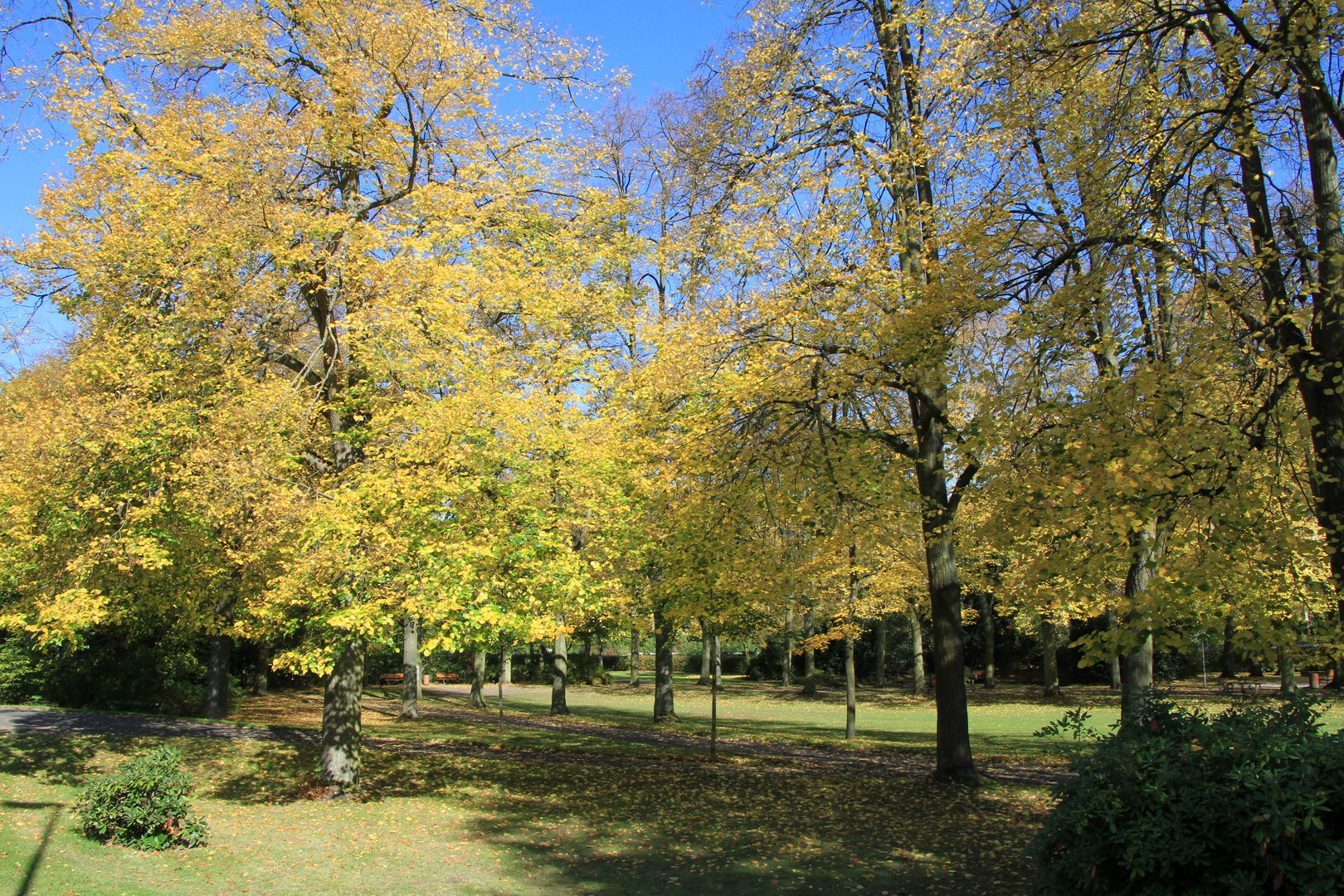 Schülerpark Marburg