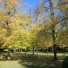 Schülerpark Marburg