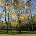 Schülerpark Marburg in der Herbssonne