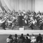 Schülerstreichorchester der Marx-Engels-Schule Halberstadt