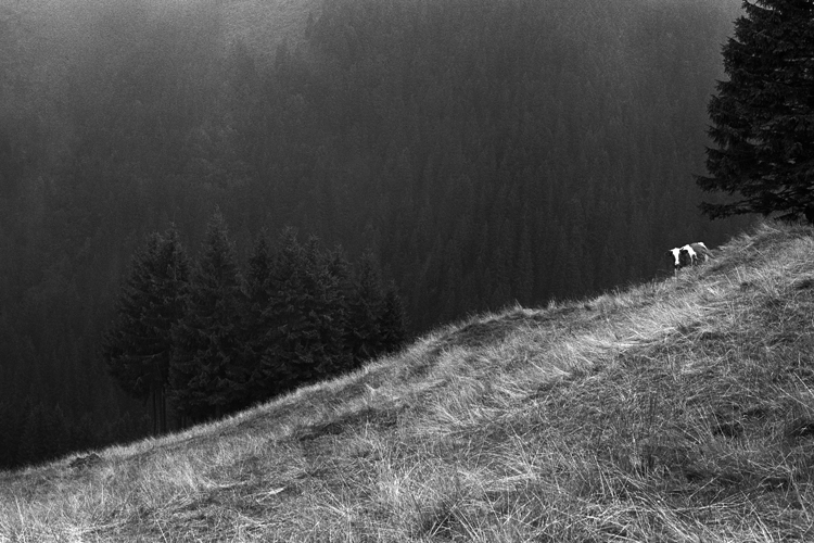 Schüpfheim, Schweiz, Sommer 1983