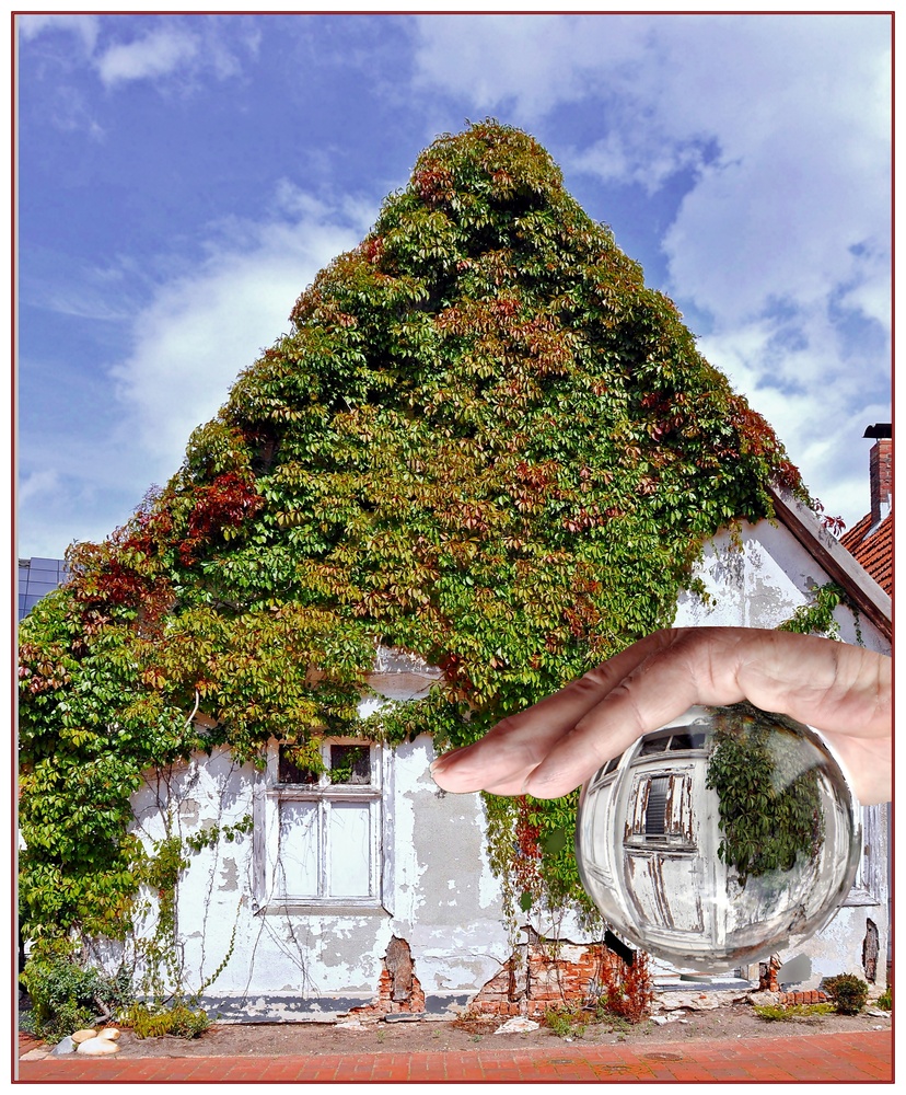 schützende Hand Foto & Bild gekugelt+gespiegelt Bilder auf