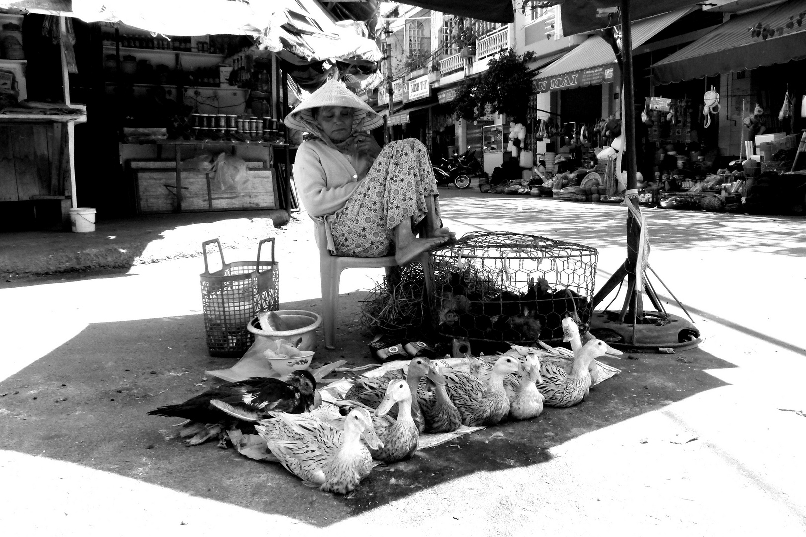 Schützender Schatten - auf einem vietnamesischen Markt