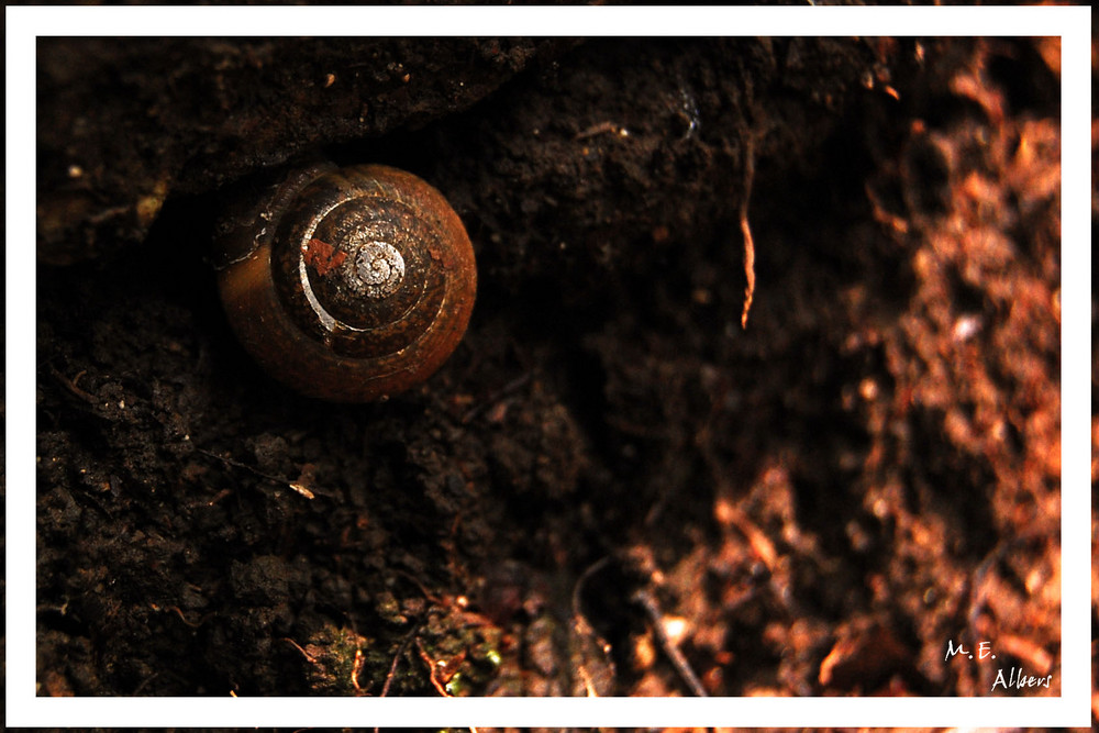 Schützendes Versteck