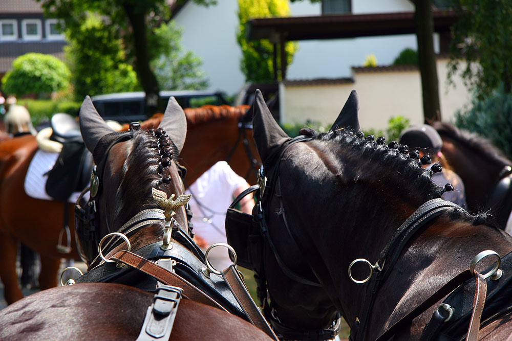 Schützenfest