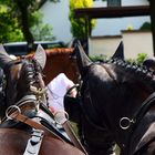 Schützenfest