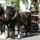 Schützenfest in Biberach