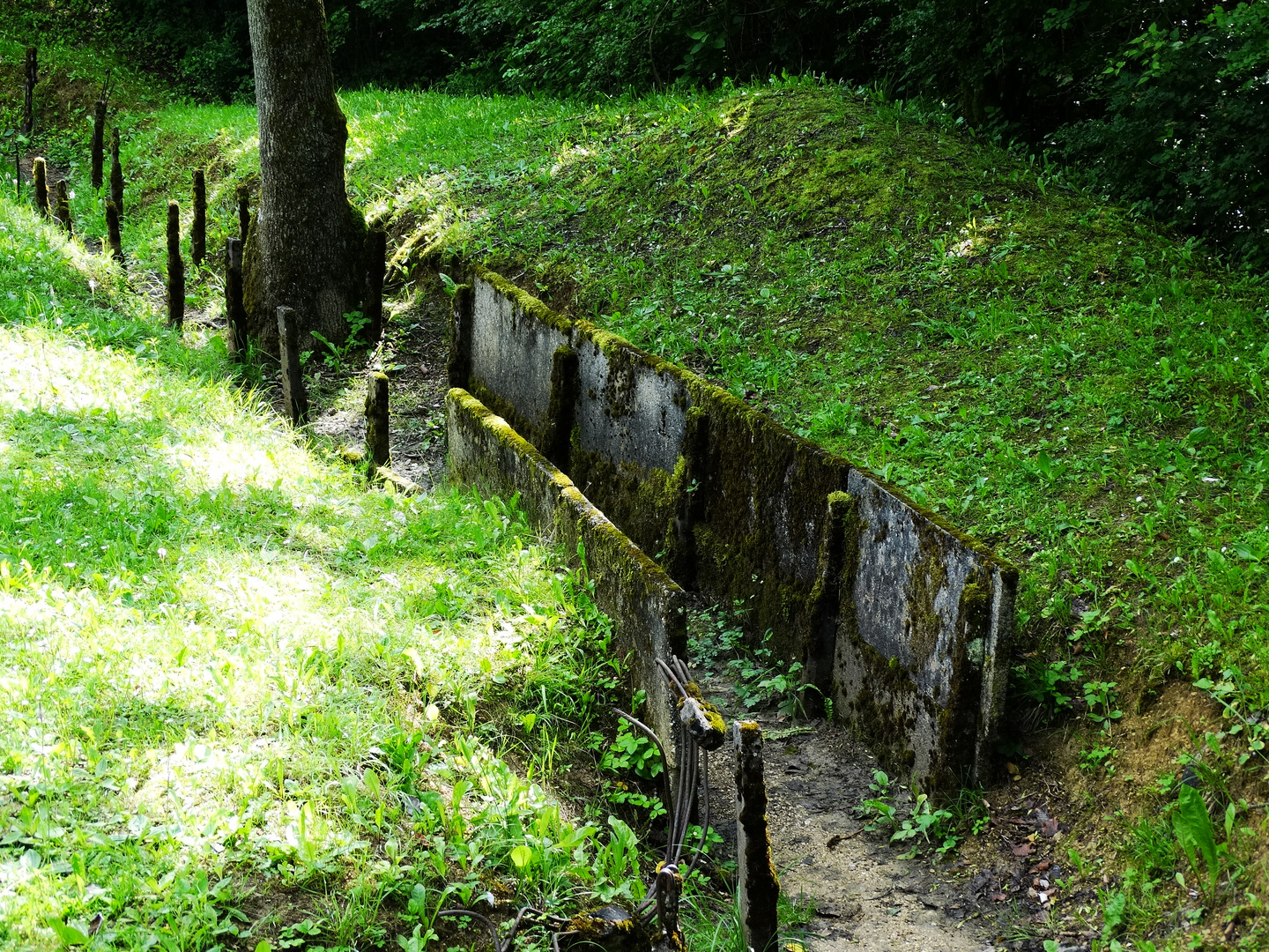 Schützengraben aus dem 1. Weltkrieg in Verdun im Jahre 2013