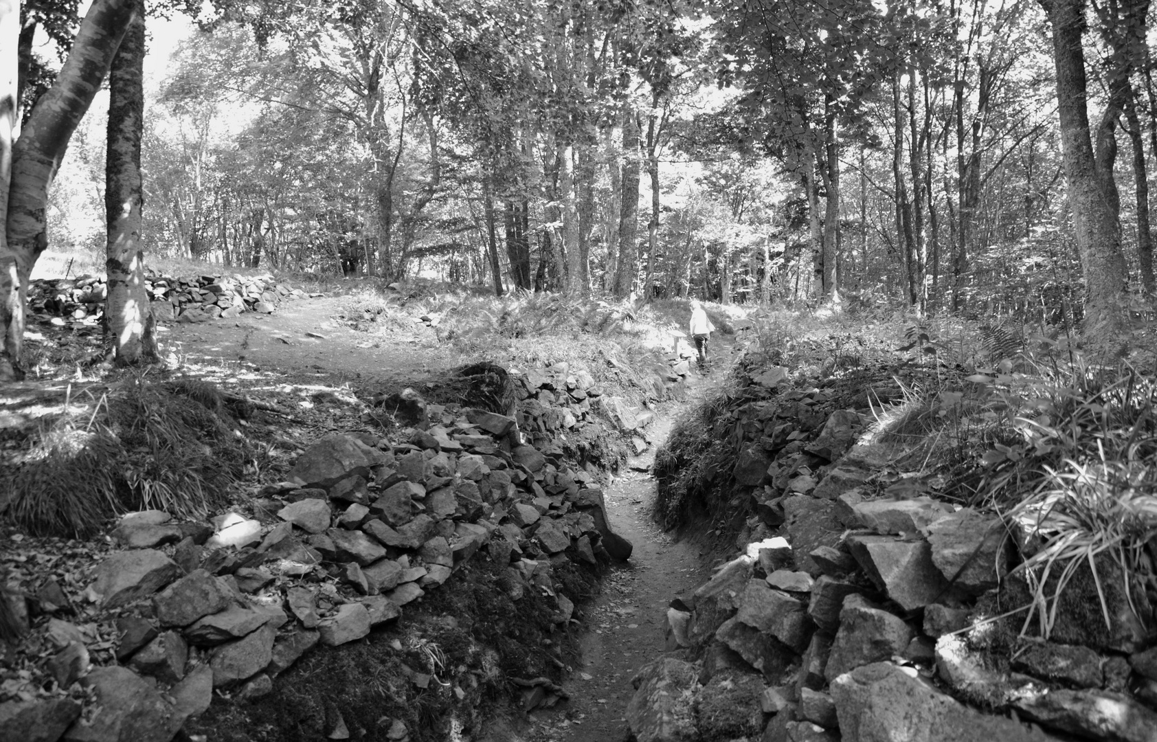 Schützengraben Hartmannswillerkopf 