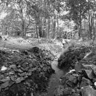 Schützengraben Hartmannswillerkopf 