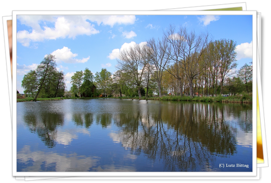 Schützens Teich Kemberg Foto & Bild deutschland, europe, sachsen