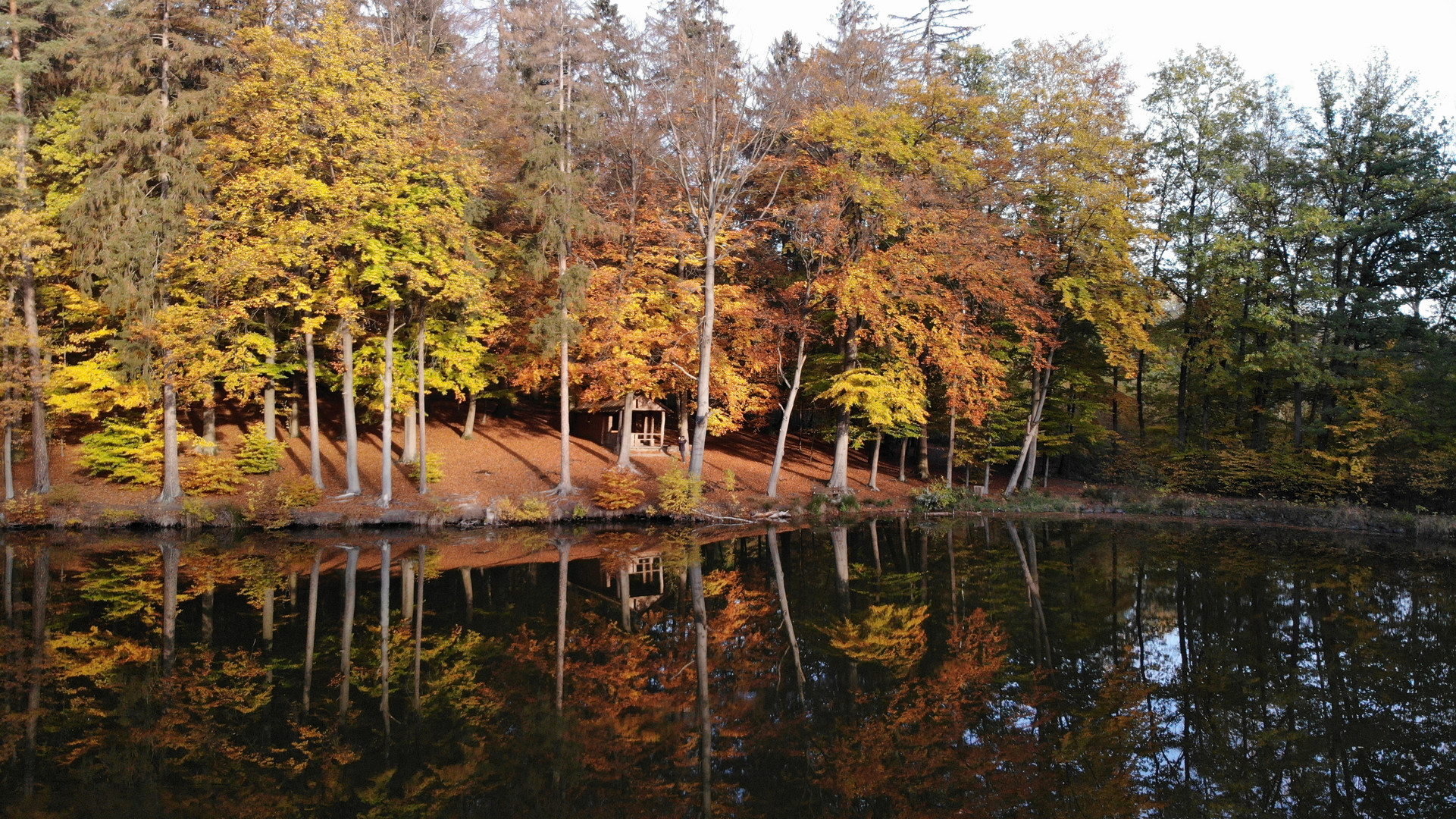 Schützenwaldteich