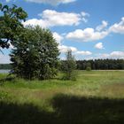 SCHÜTZT DIE ESELWEIHER BEI TEUBLITZ IN DER OBERPFALZ !!!