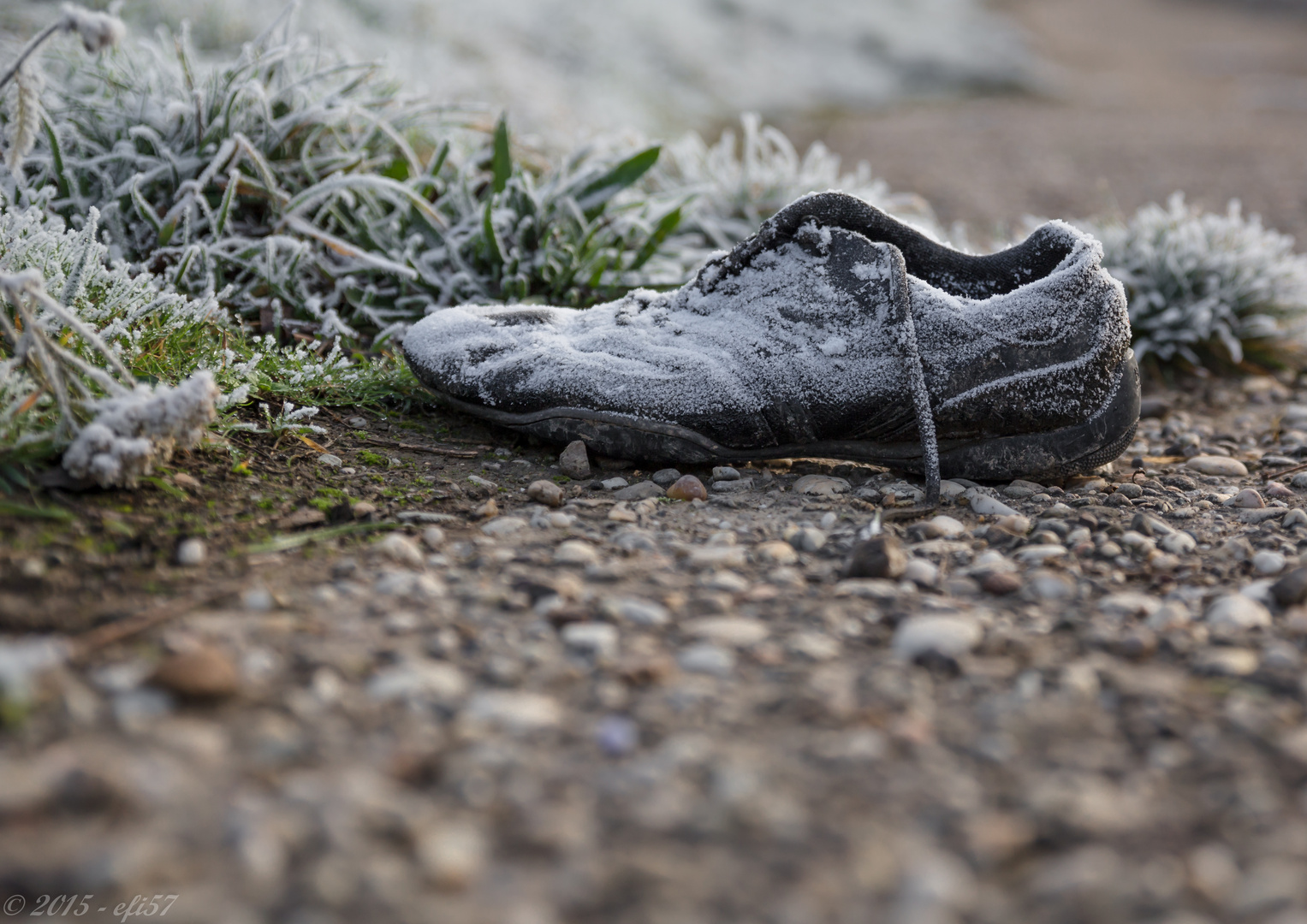 Schuh im Morgenfrost gefunden - Bild 1