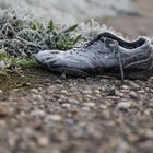 Schuh im Morgenfrost gefunden - Bild 1