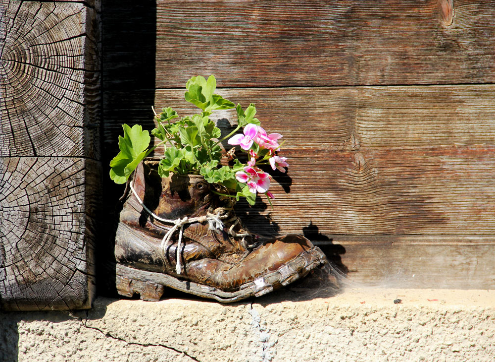 Schuh im Ruhestand