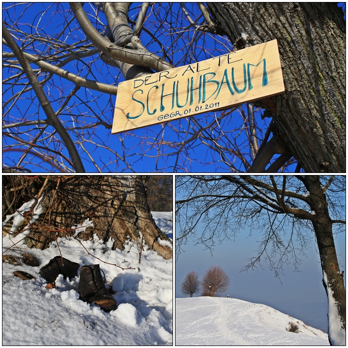 Schuhbaum