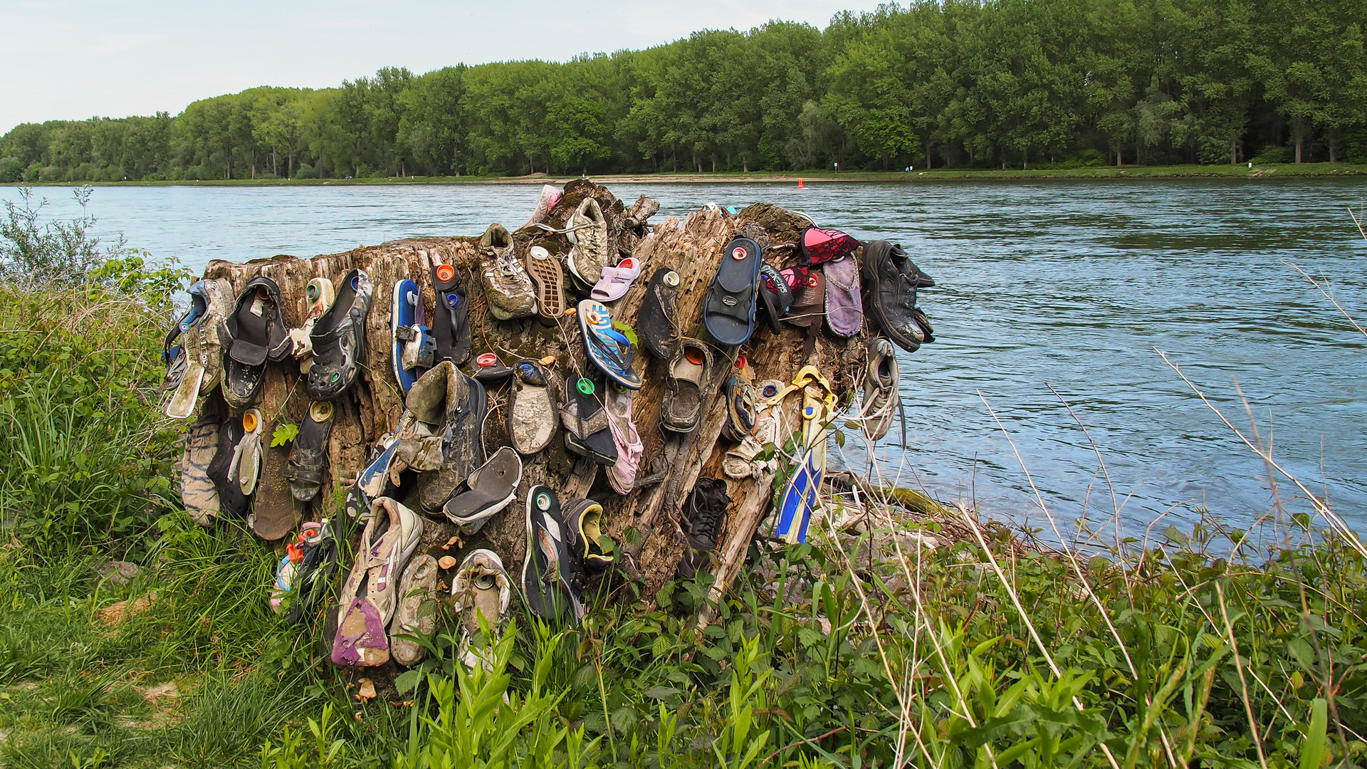 Schuhe am Rhein ca. 2 1/2 Jahre später