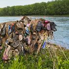 Schuhe am Rhein ca. 2 1/2 Jahre später