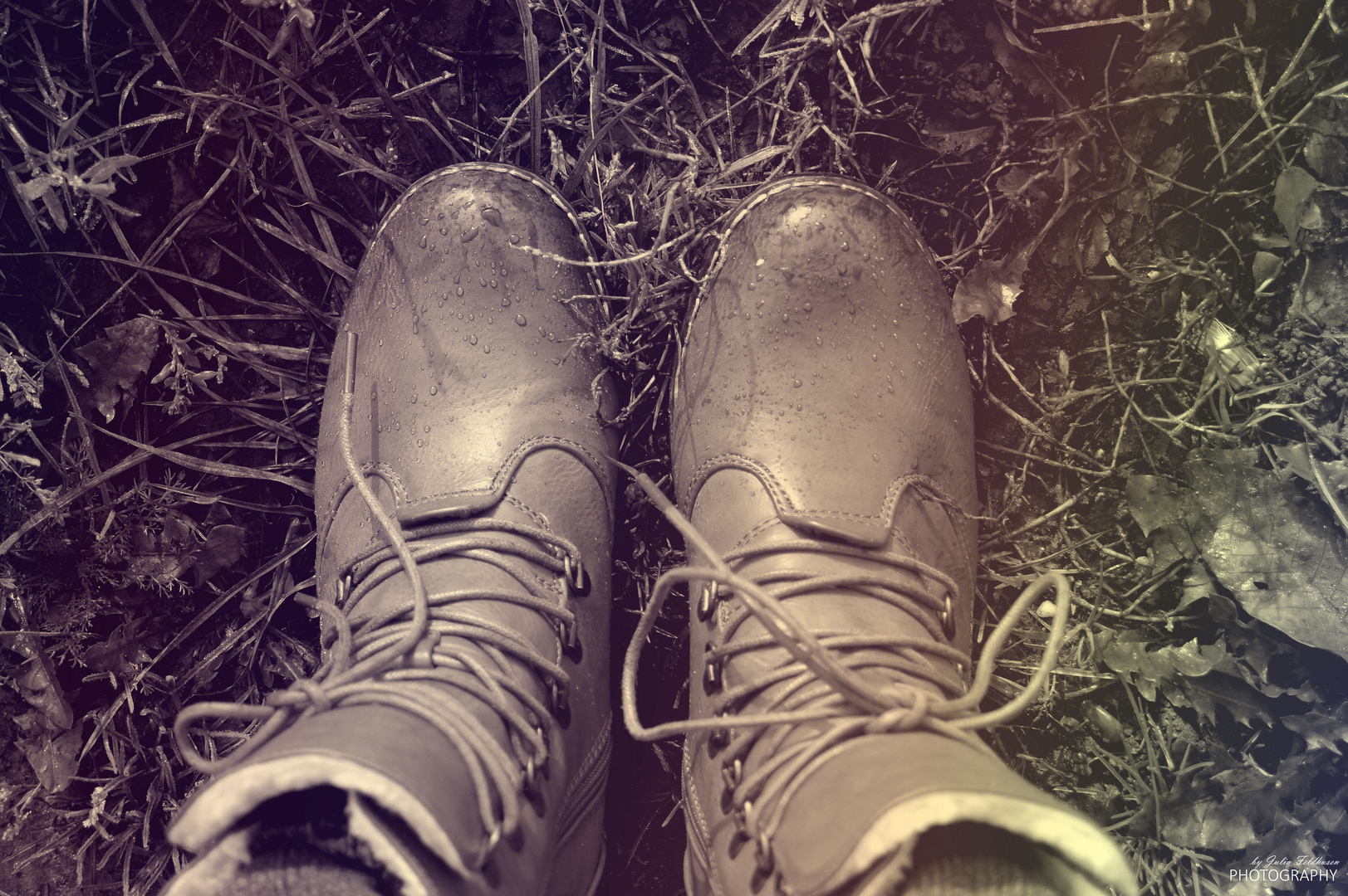 Schuhe im Gras