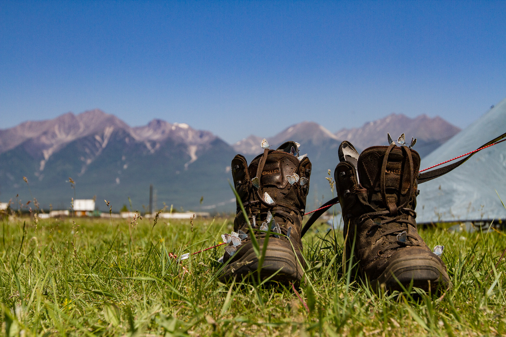 Schuhe trocknen mit Unterstützung