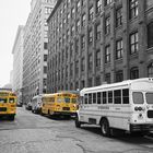 Schulbusse in Brooklyn,New York