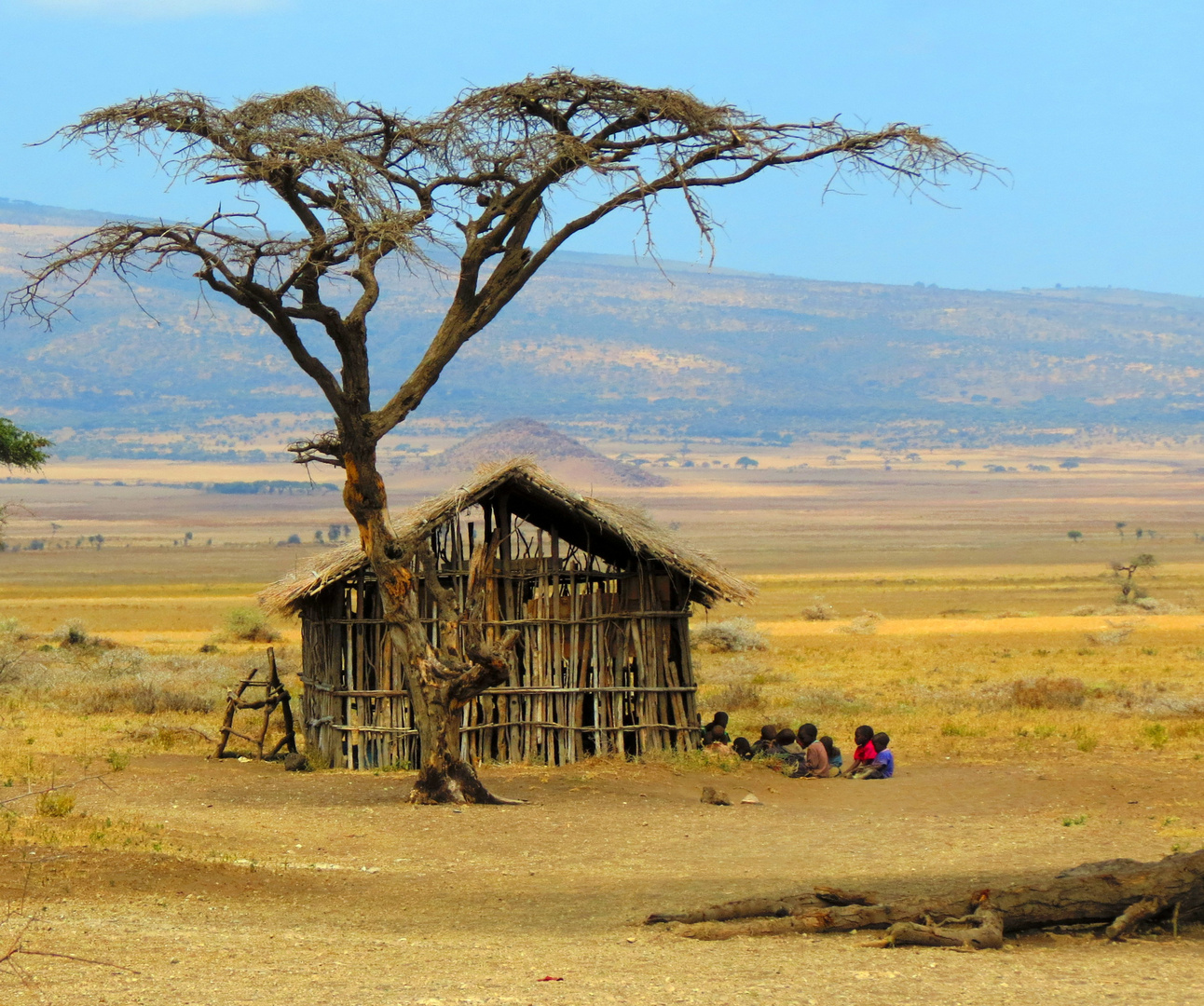 Schule der Massai