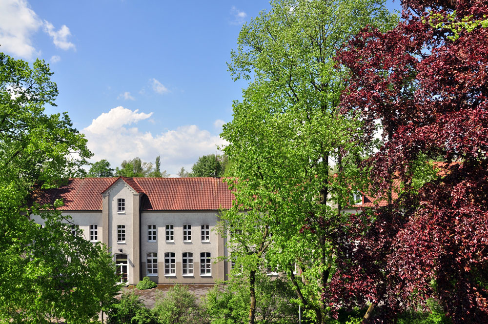 Schule Gelsenkirchen Horst