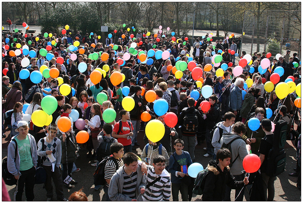 schule ohne rassismus -schule mit courage