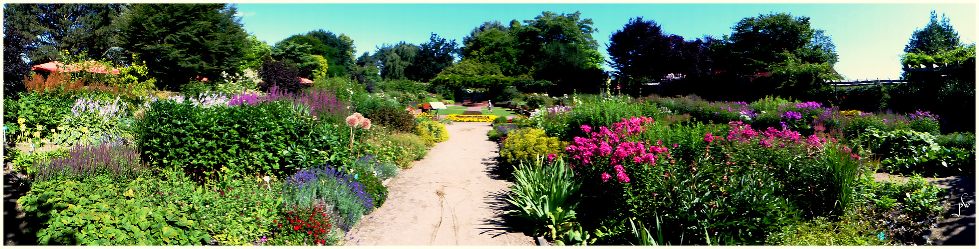 Schulgarten in Lübeck Foto &amp; Bild landschaft, garten