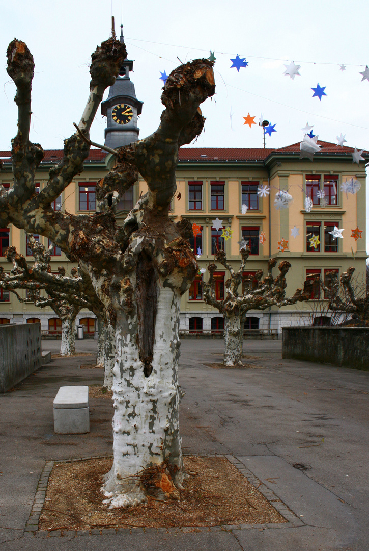 Schulhaus im Advent