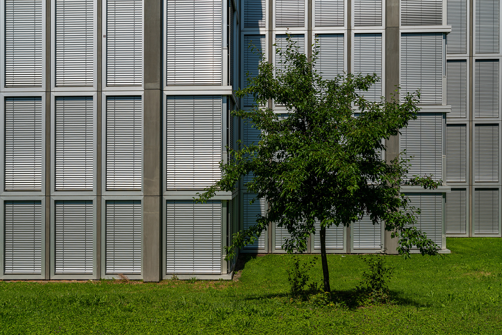 Schulhaus Obstgarten 2/2