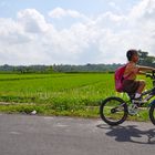 Schulkind auf dem Wege nach Hause, Vietnam