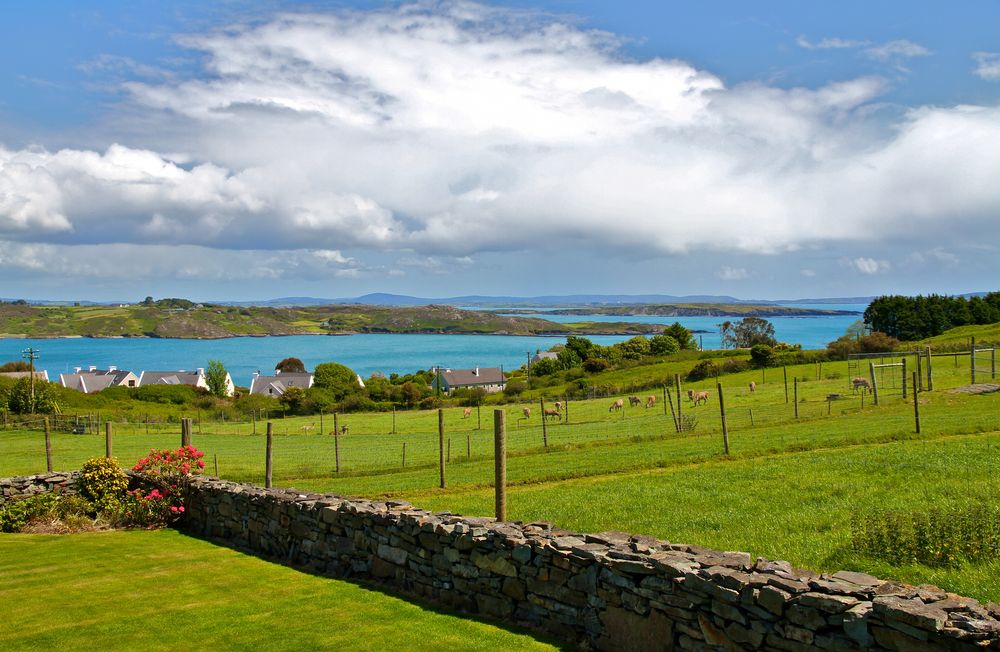 Schull Bay View