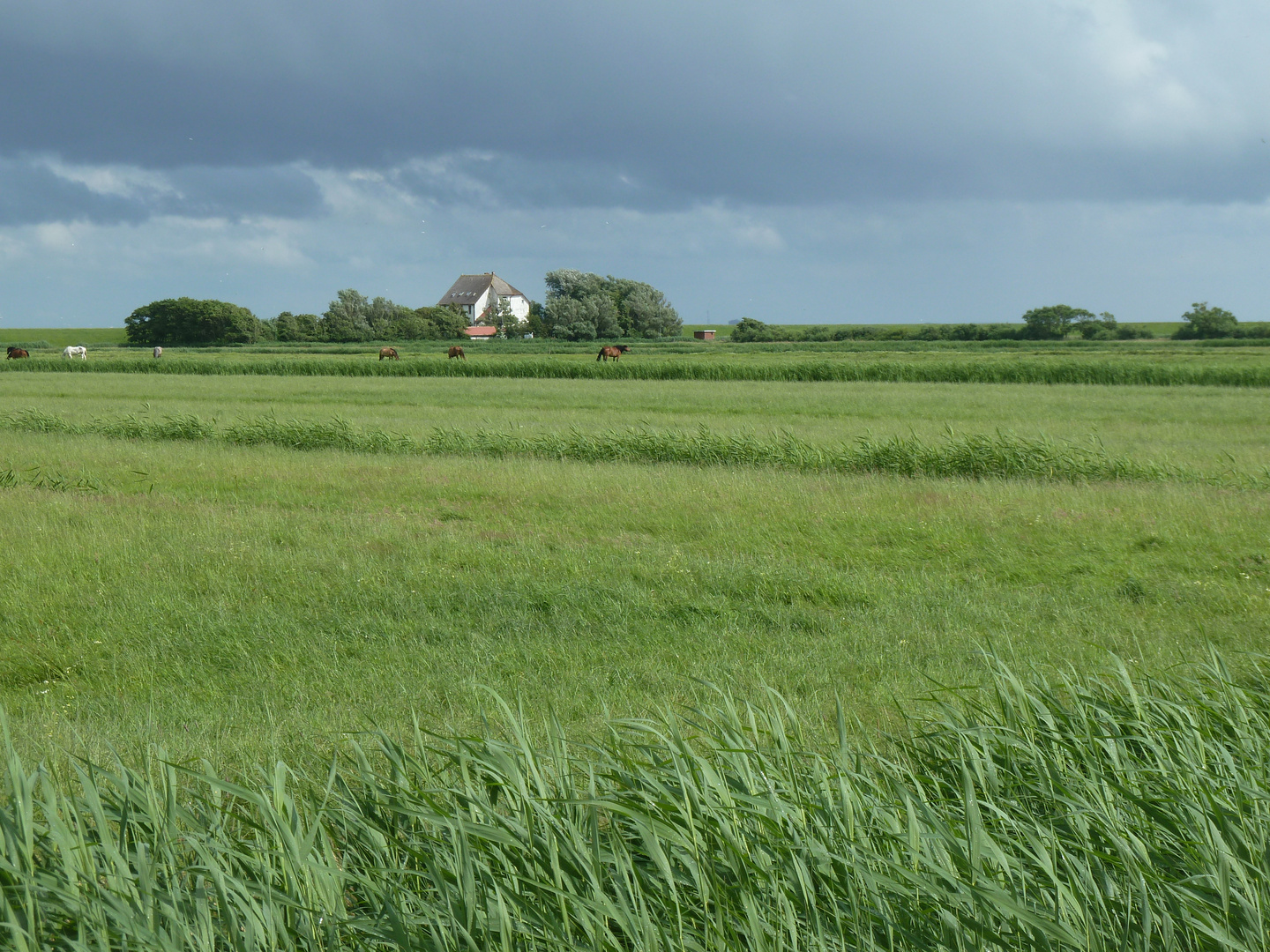 Schullandheim Neuwerk