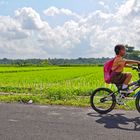 Schulmädchen auf dem Heimweg, Bali