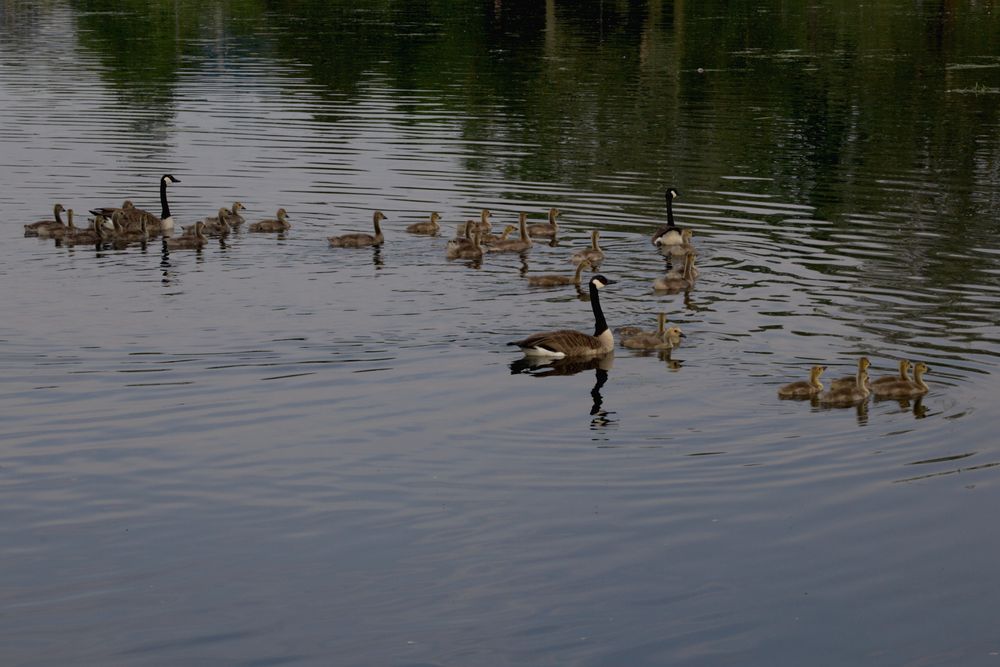 Schulschwimmen