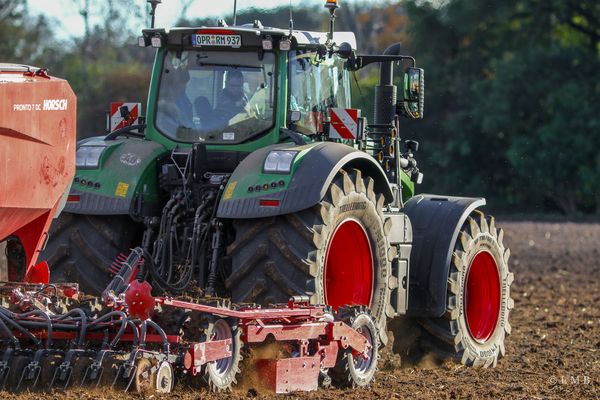 Schulterblick mal anders