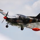 Schulungsmaschine der Italienischen Luftwaffe, Oldtimer