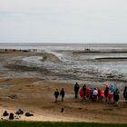 Schulunterricht am Wattenmeer bei Rantum (1)