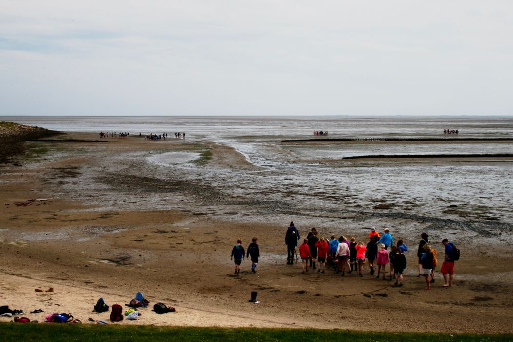 Schulunterricht am Wattenmeer bei Rantum (1)