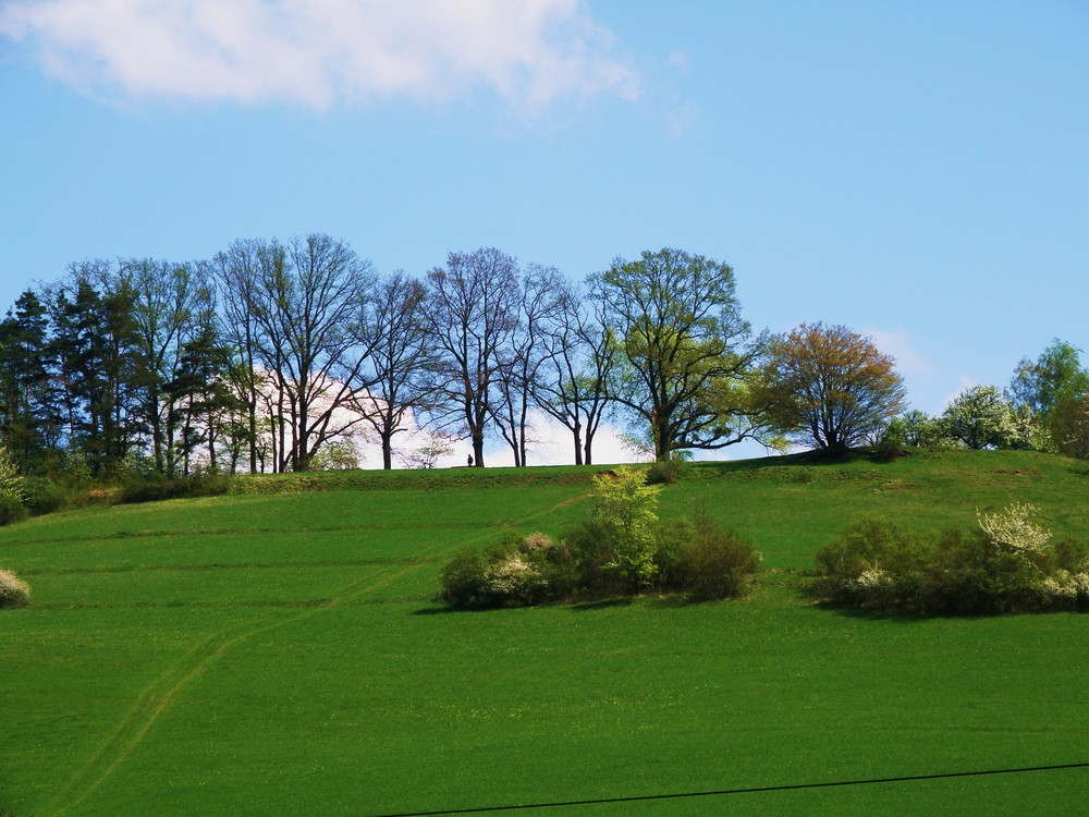 schummi berg