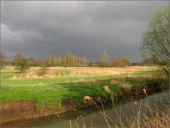 Schunteraue im Frühjahr