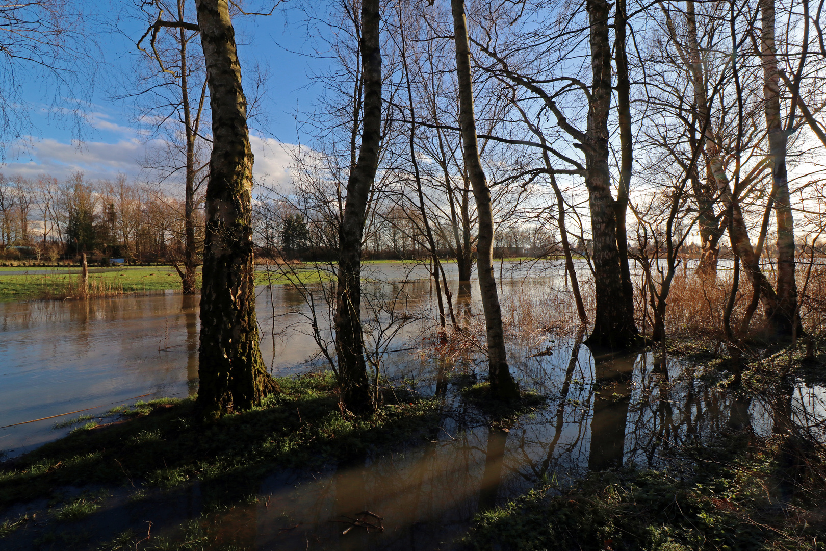 Schunterhochwasser