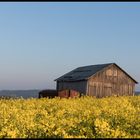 " Schupfm,...Oberfranken."