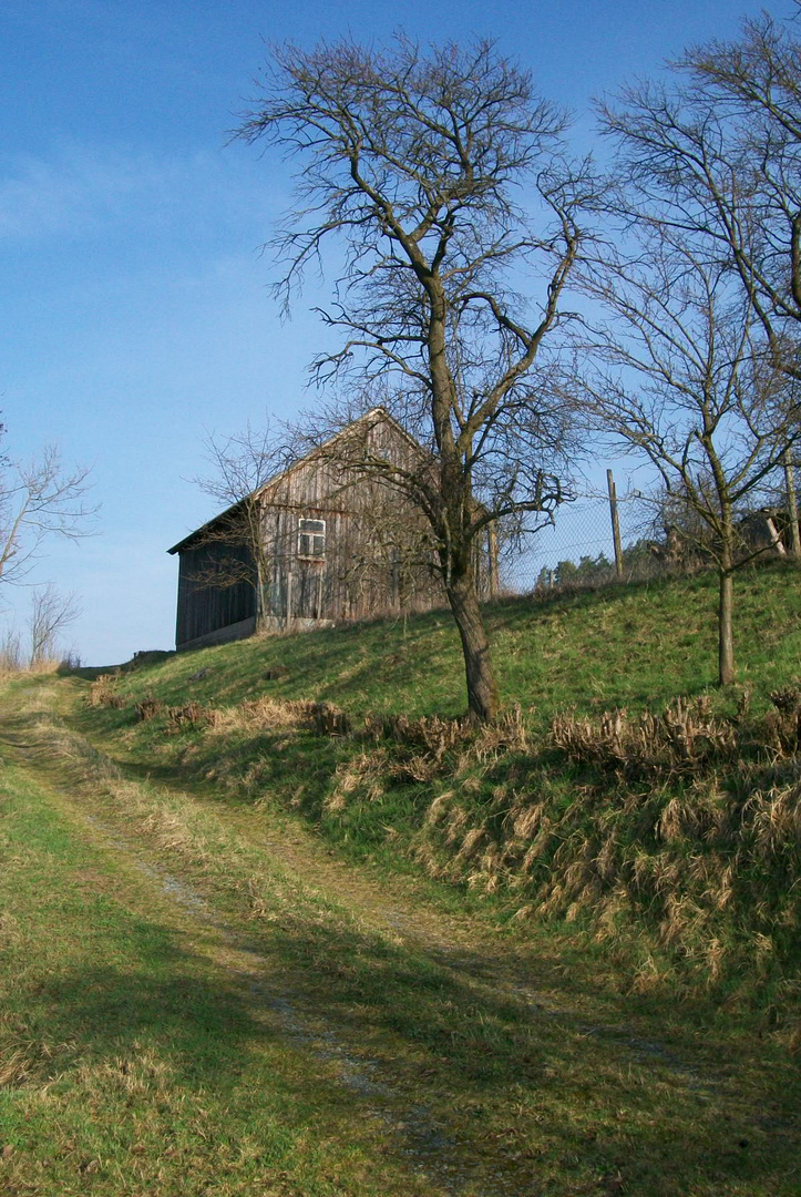 Schuppen am Wegesrand