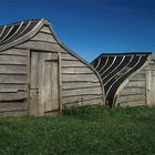 Schuppen, Holy-Island, Northumberland