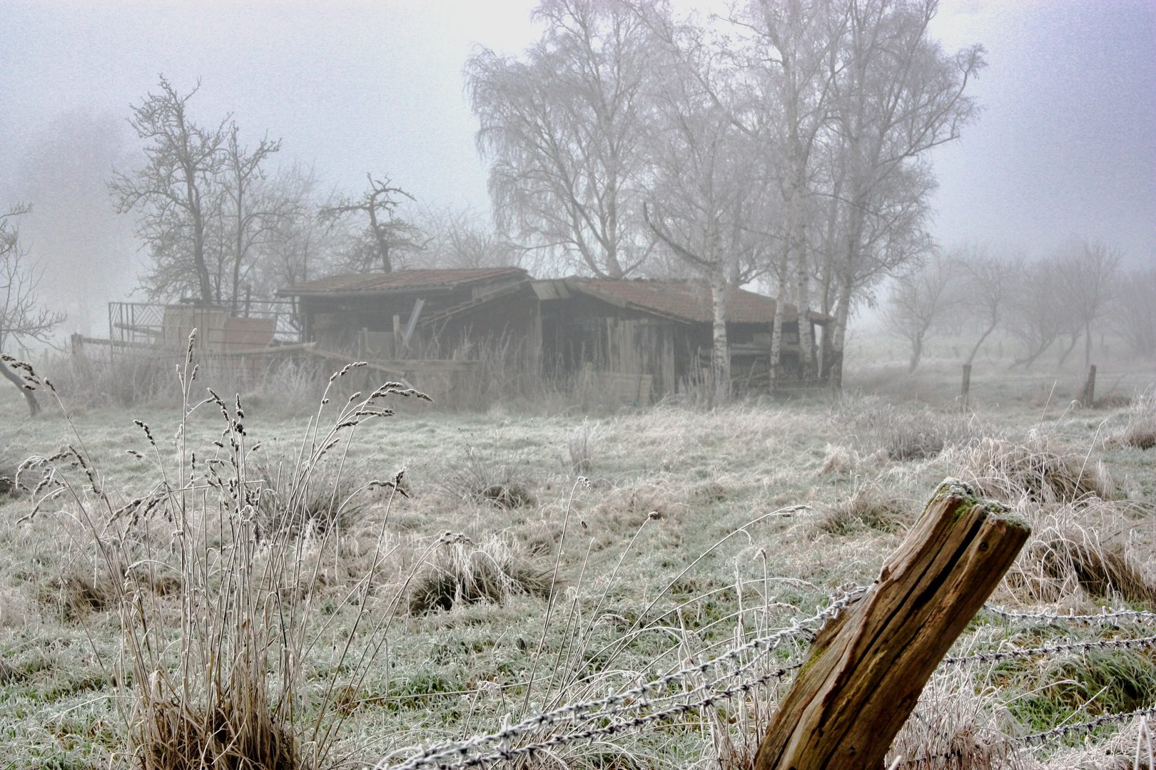 Schuppen im Eisnebel