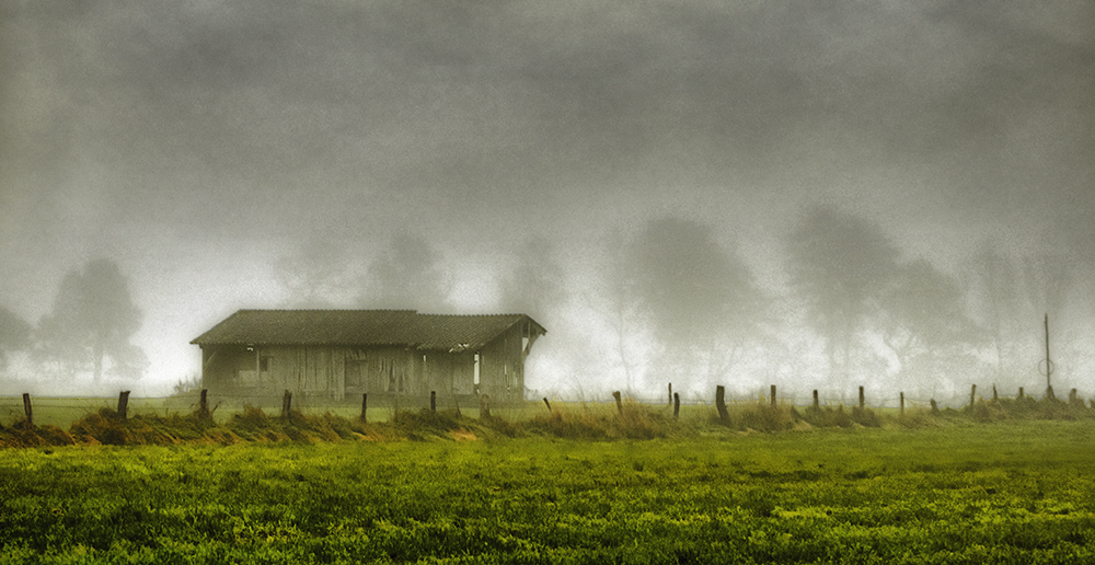 Schuppen im Nebel